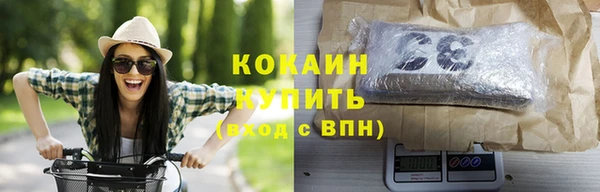 твердый Арсеньев