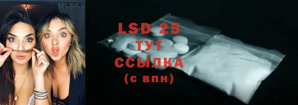 стафф Аркадак