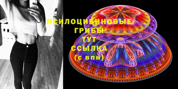 стафф Аркадак