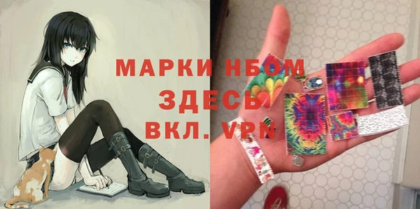 твердый Арсеньев