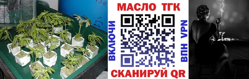 Купить где  Ветлуга  ТГК гашишное масло 