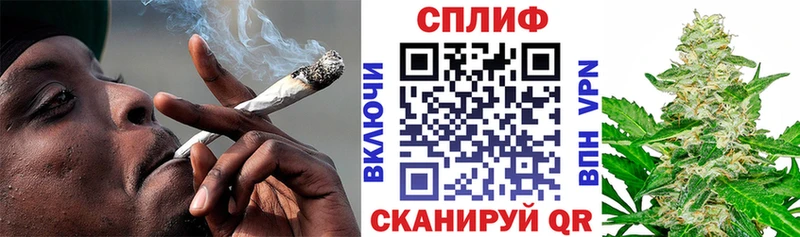 Конопля SATIVA & INDICA  Купить закладки  Ветлуга 